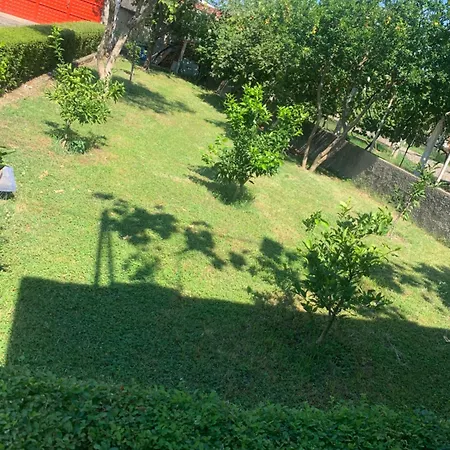 Garden Shkodër